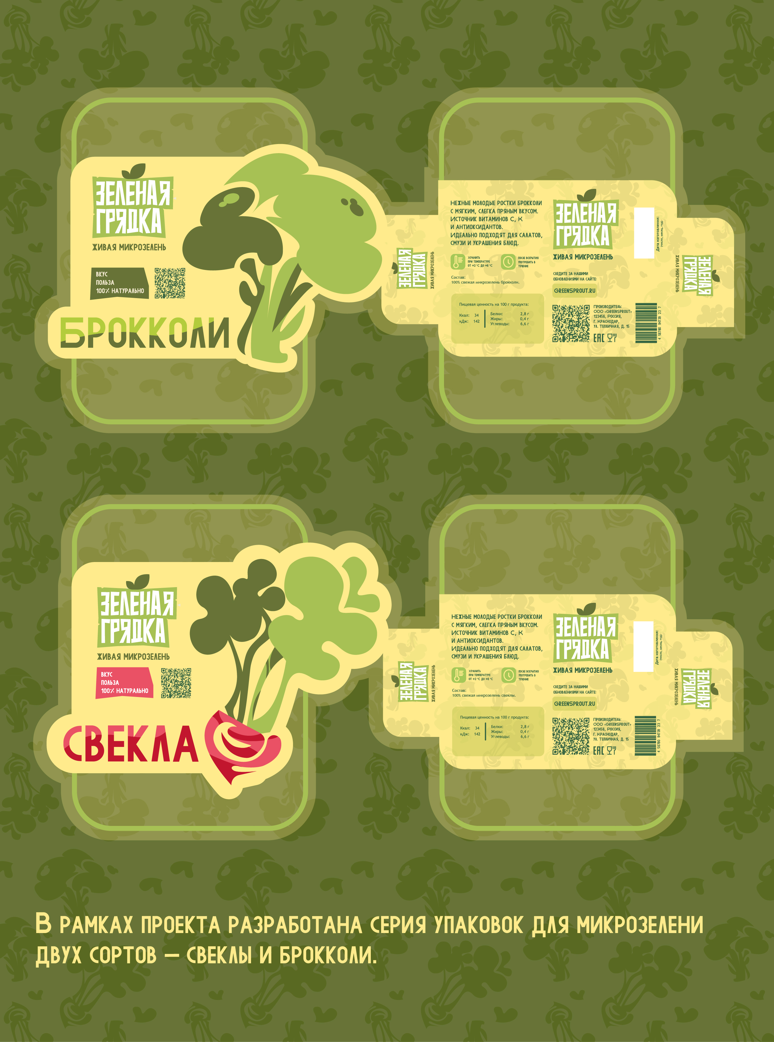 Разработка упаковки для микрозелени «Зеленая грядка» — Изображение №5 — Брендинг на Dprofile