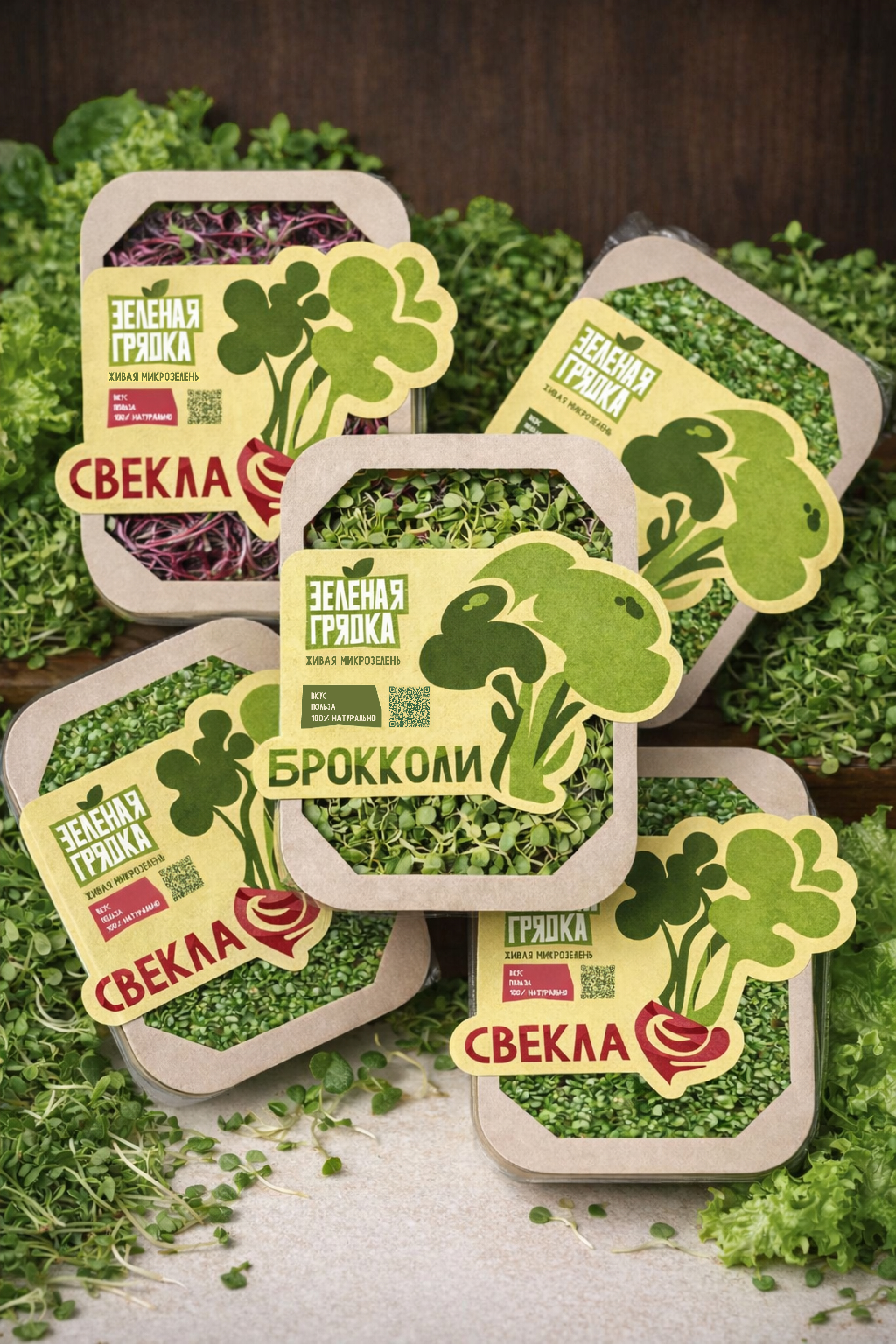 Разработка упаковки для микрозелени «Зеленая грядка» — Изображение №1 — Брендинг на Dprofile