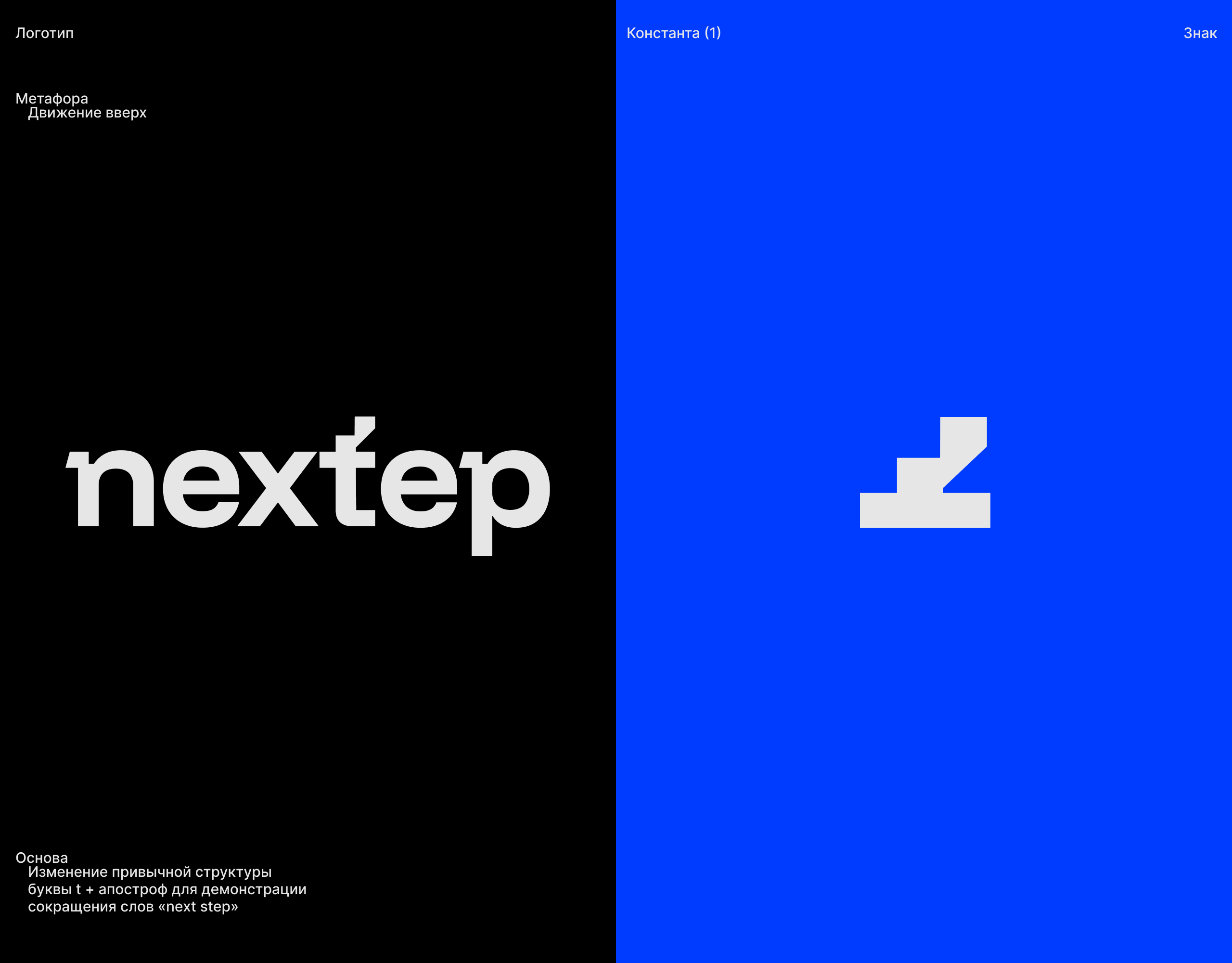 nextep / identity — Изображение №2 — Брендинг, Маркетинг на Dprofile