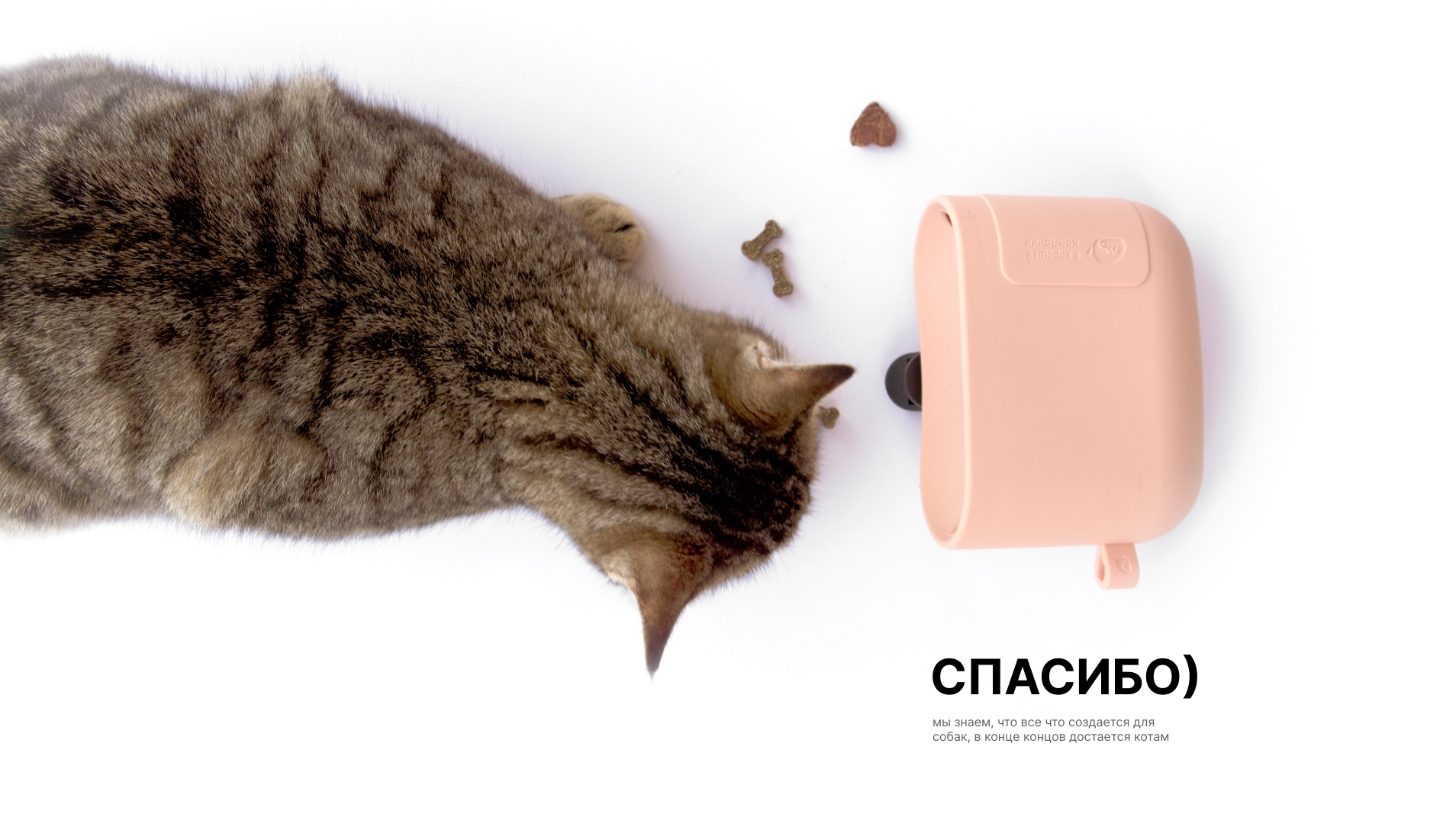 Сумочка для лакомств для собак — Изображение №9 — 3D, Промдизайн на Dprofile