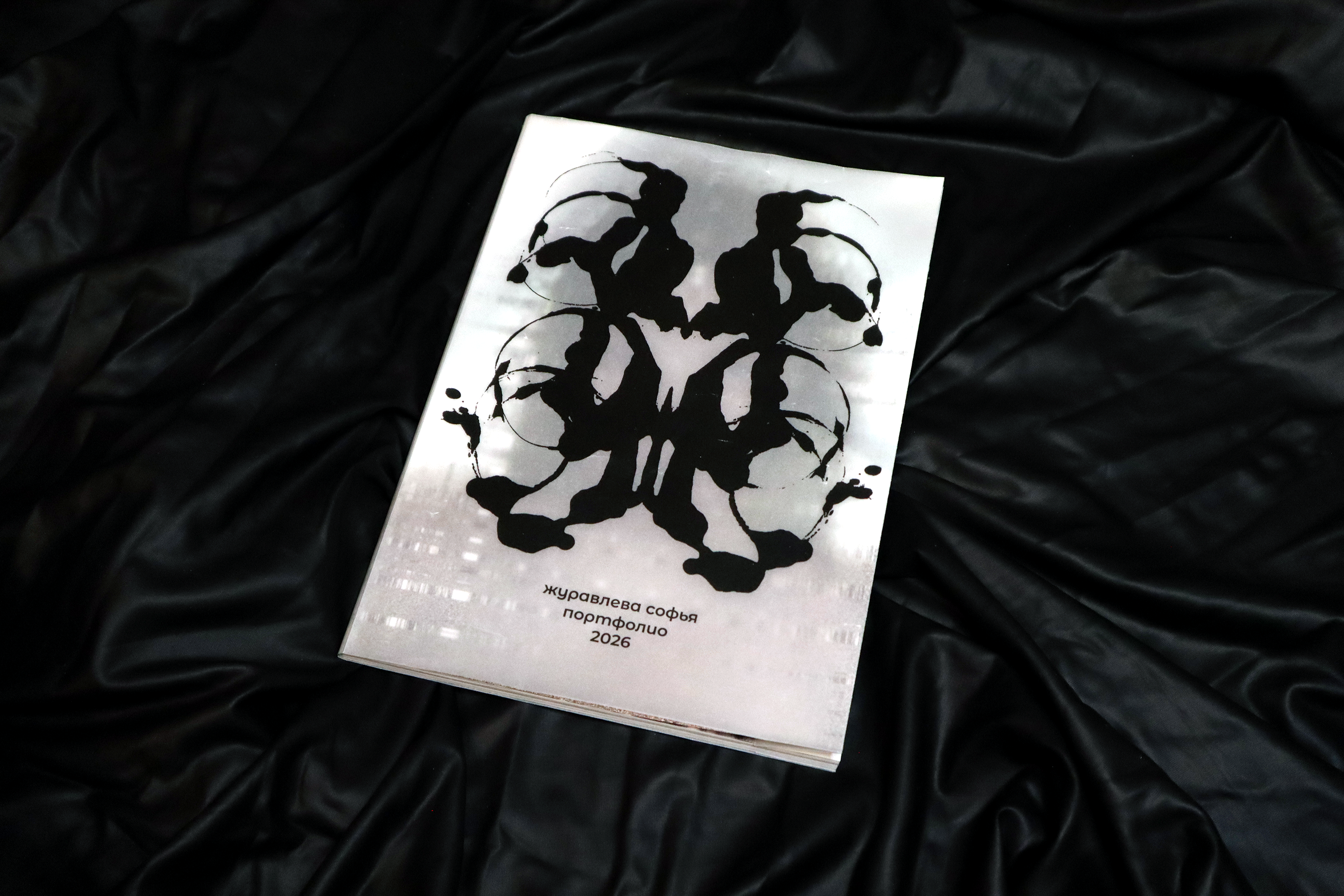 ПОРТФОЛИО 2026 — Изображение №1 — Брендинг, 3D на Dprofile