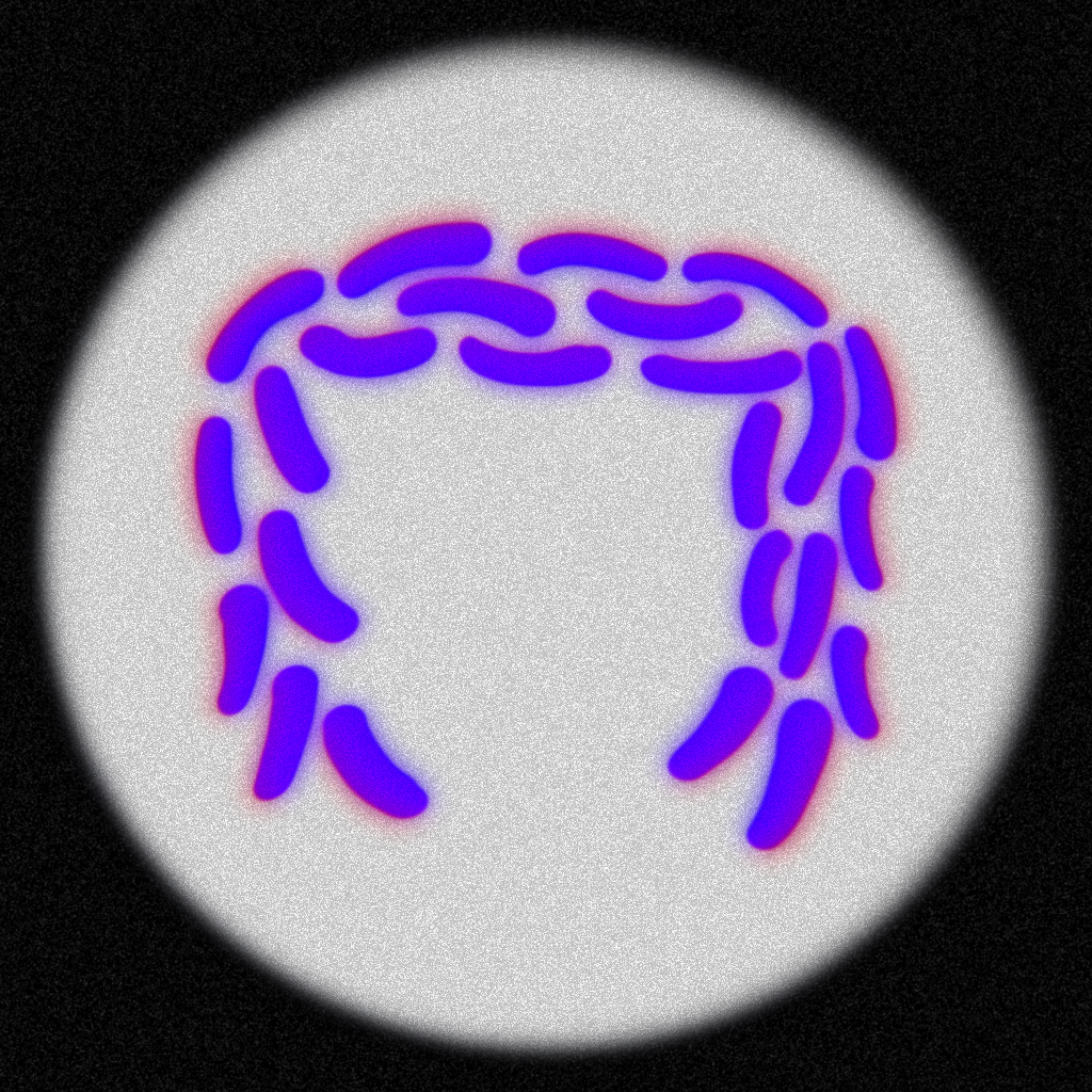 БКВЧ — алфавит микробов (2026) — Изображение №50 — Иллюстрация, Графика на Dprofile
