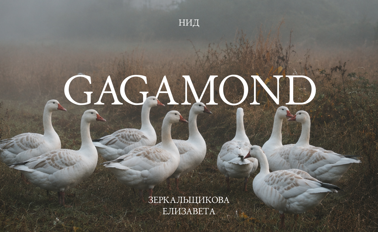 Шрифт Gagamond — Изображение №1 — Графика на Dprofile