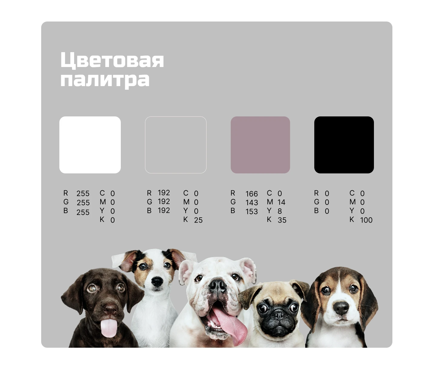 Брендбук для компании домашних лакомств для собак — Изображение №6 — Брендинг на Dprofile