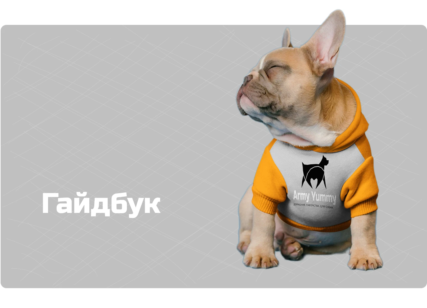 Брендбук для компании домашних лакомств для собак — Изображение №3 — Брендинг на Dprofile