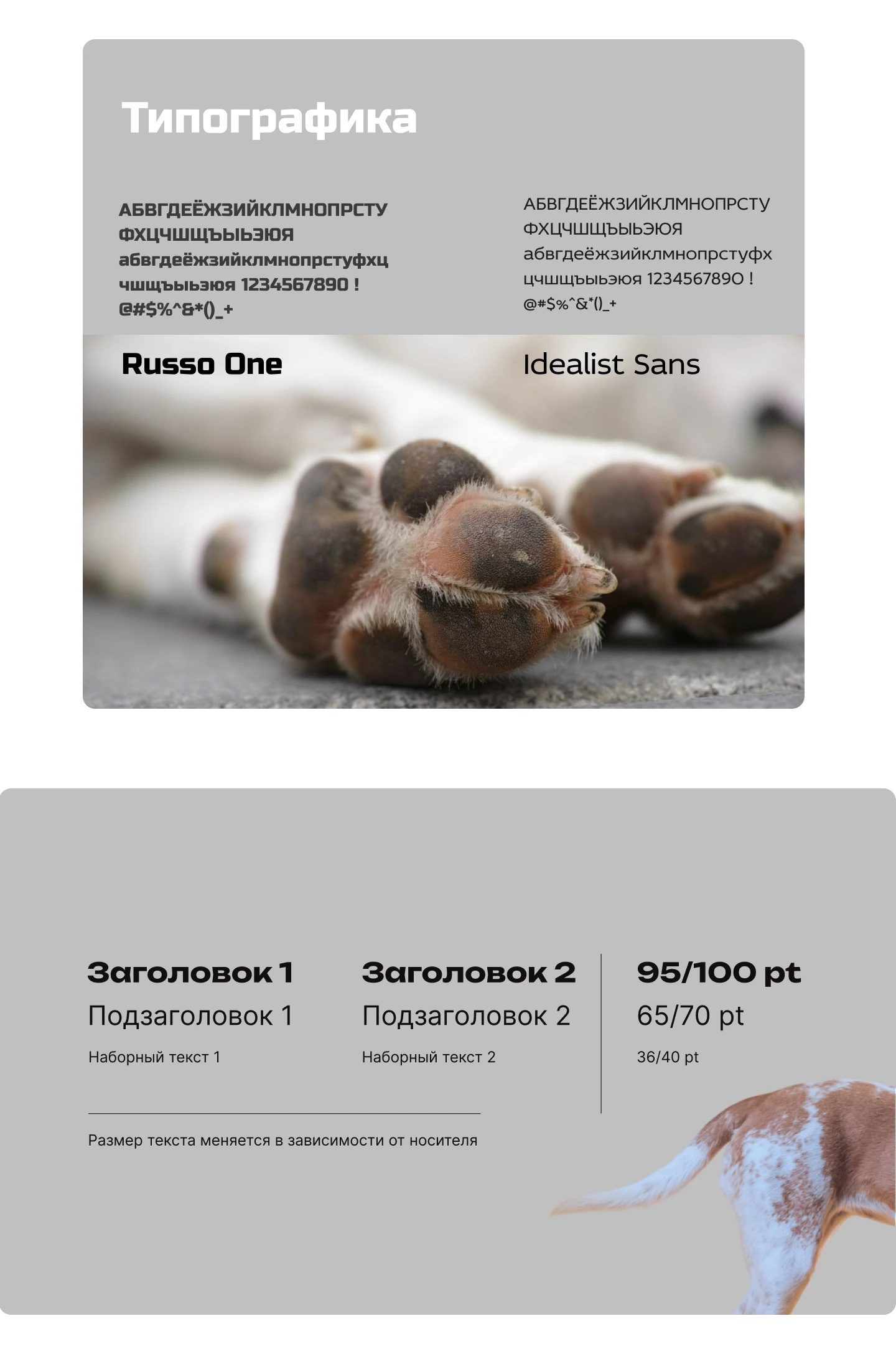 Брендбук для компании домашних лакомств для собак — Изображение №7 — Брендинг на Dprofile