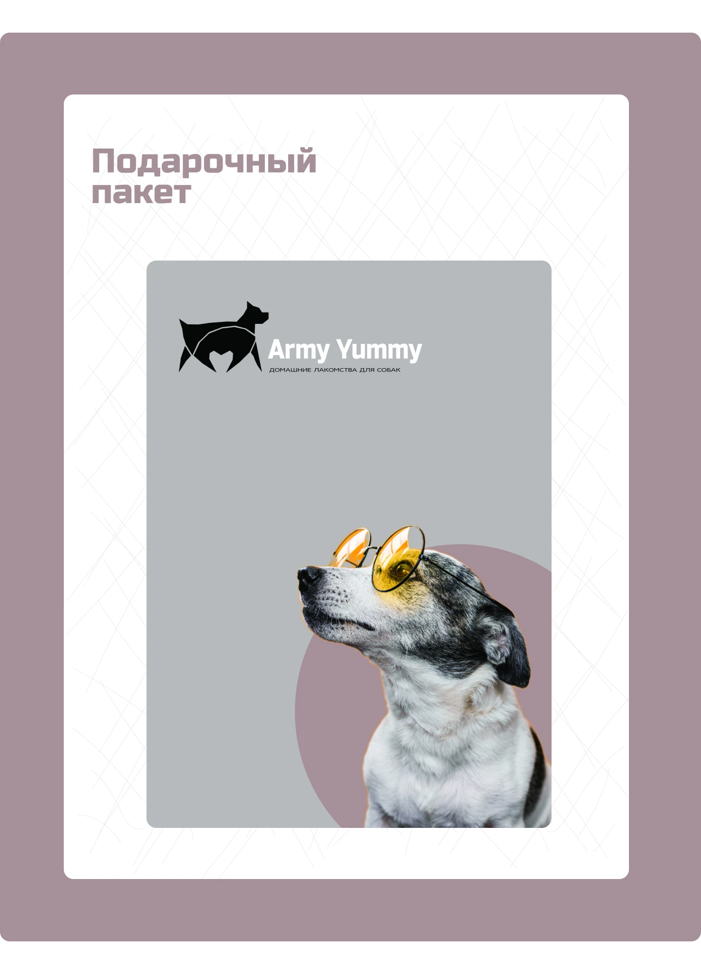 Брендбук для компании домашних лакомств для собак — Изображение №9 — Брендинг на Dprofile