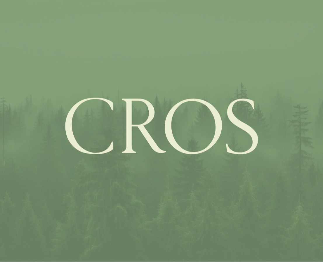 Шрифт "CROS" — Графика на Dprofile