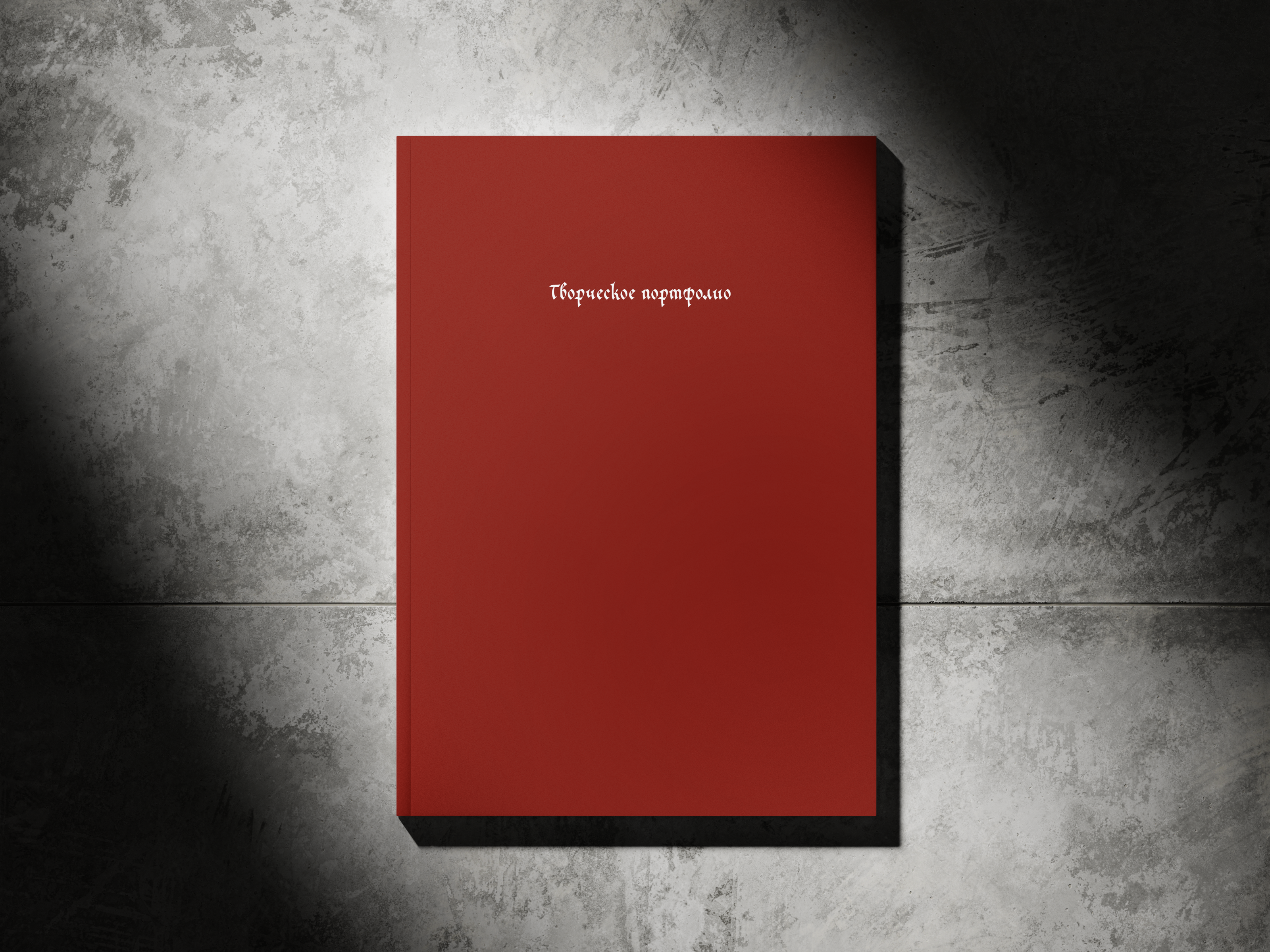 Портфолио — Изображение №1 — Брендинг на Dprofile