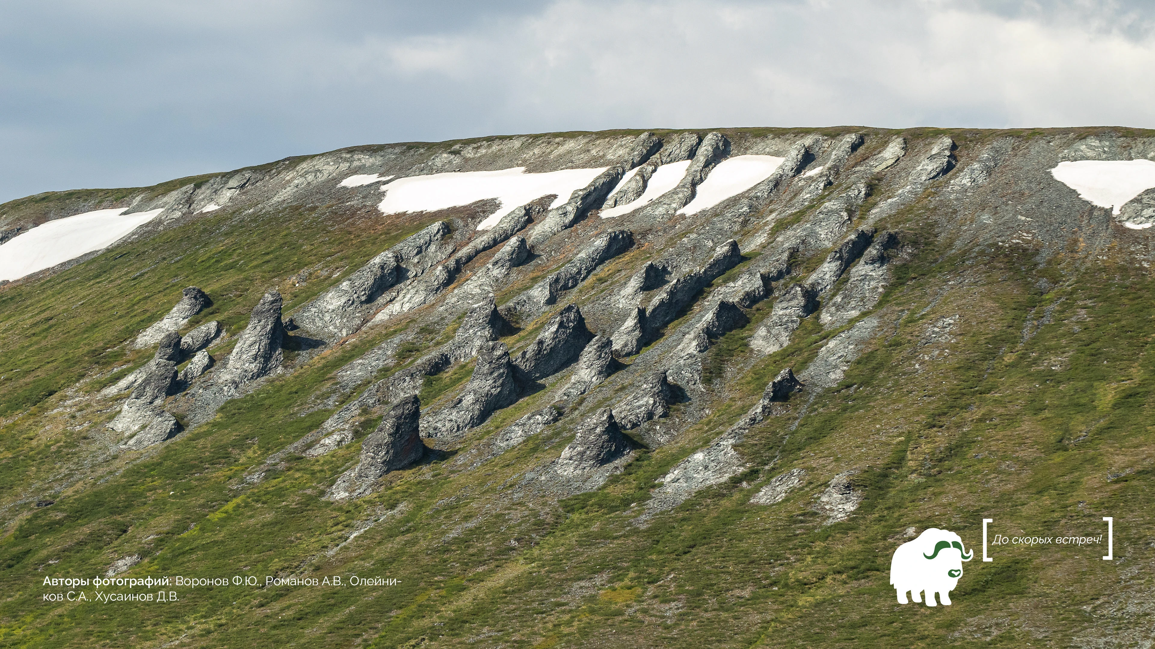 Презентация о природном парке "Ингилор" — Изображение №11 — Маркетинг на Dprofile