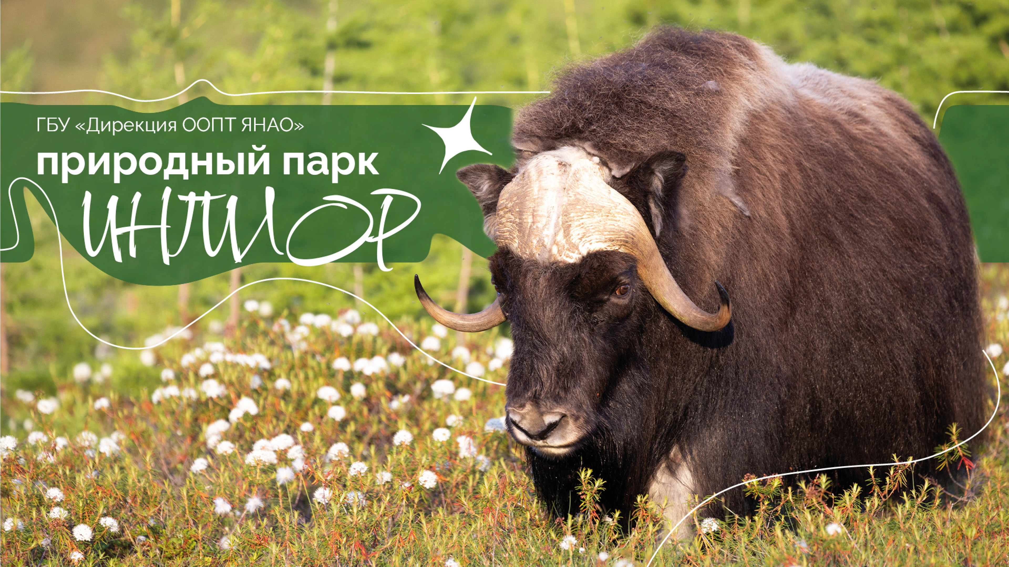 Презентация о природном парке "Ингилор" — Изображение №1 — Маркетинг на Dprofile