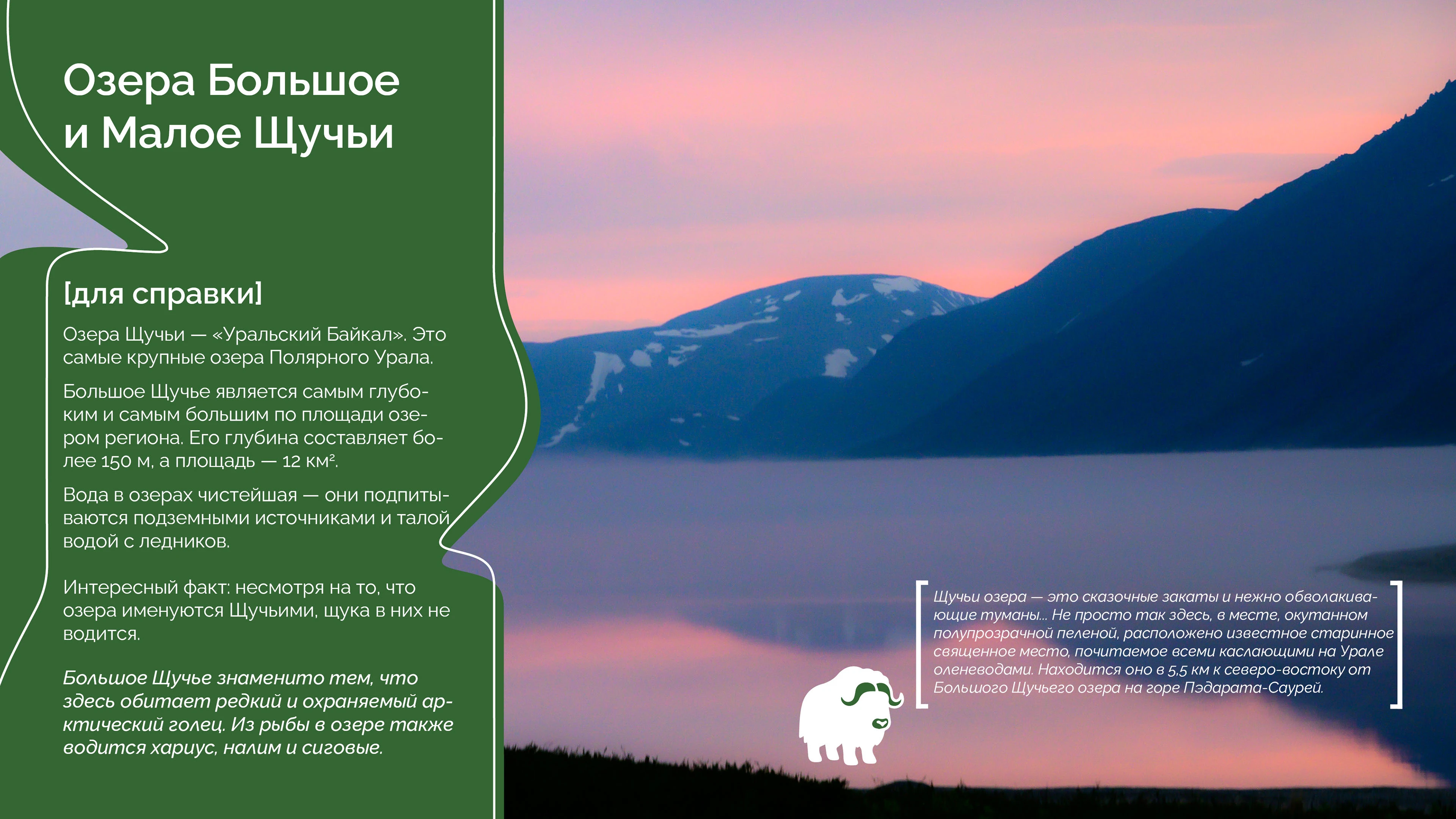 Презентация о природном парке "Ингилор" — Изображение №8 — Маркетинг на Dprofile