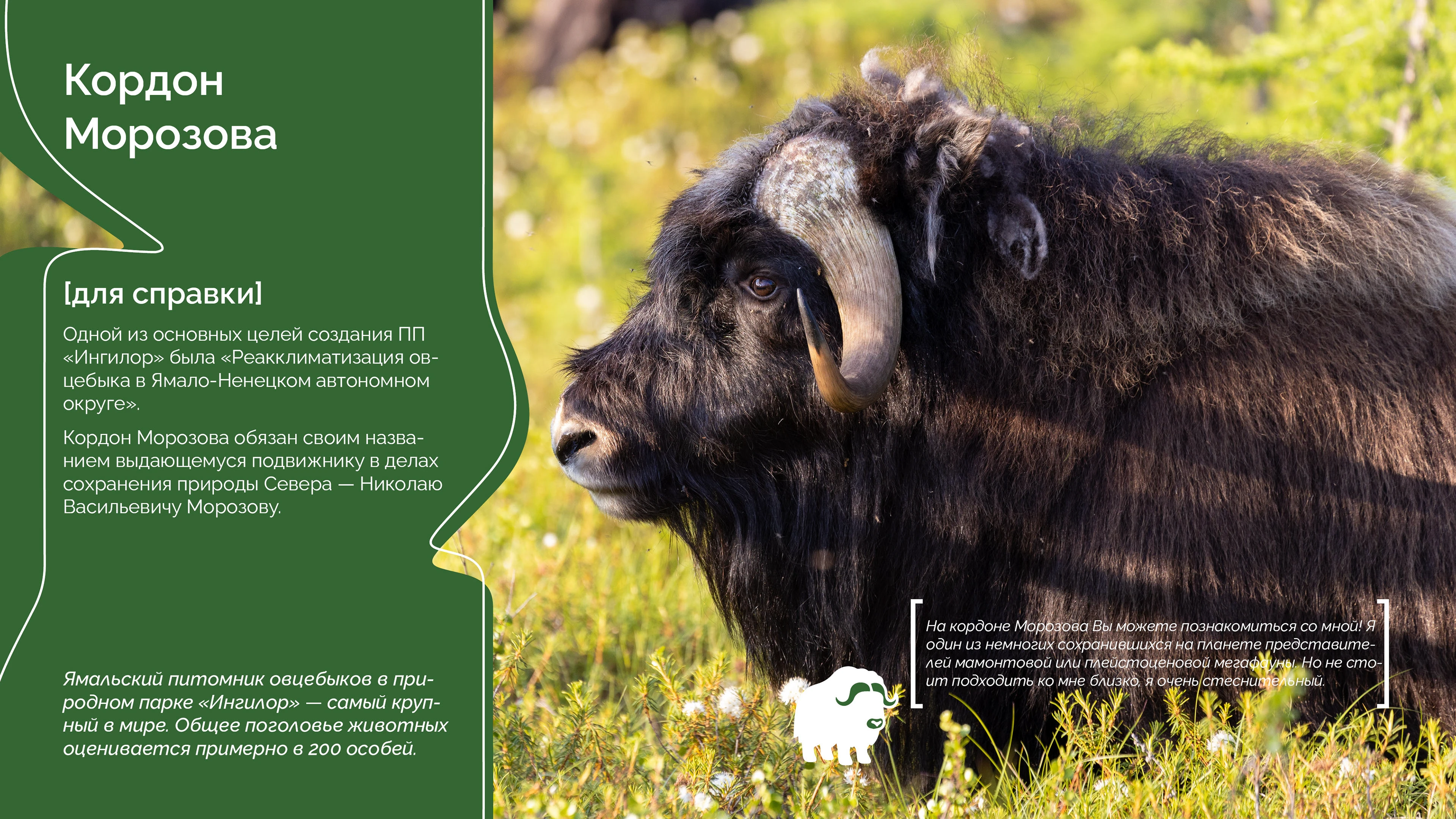 Презентация о природном парке "Ингилор" — Изображение №4 — Маркетинг на Dprofile
