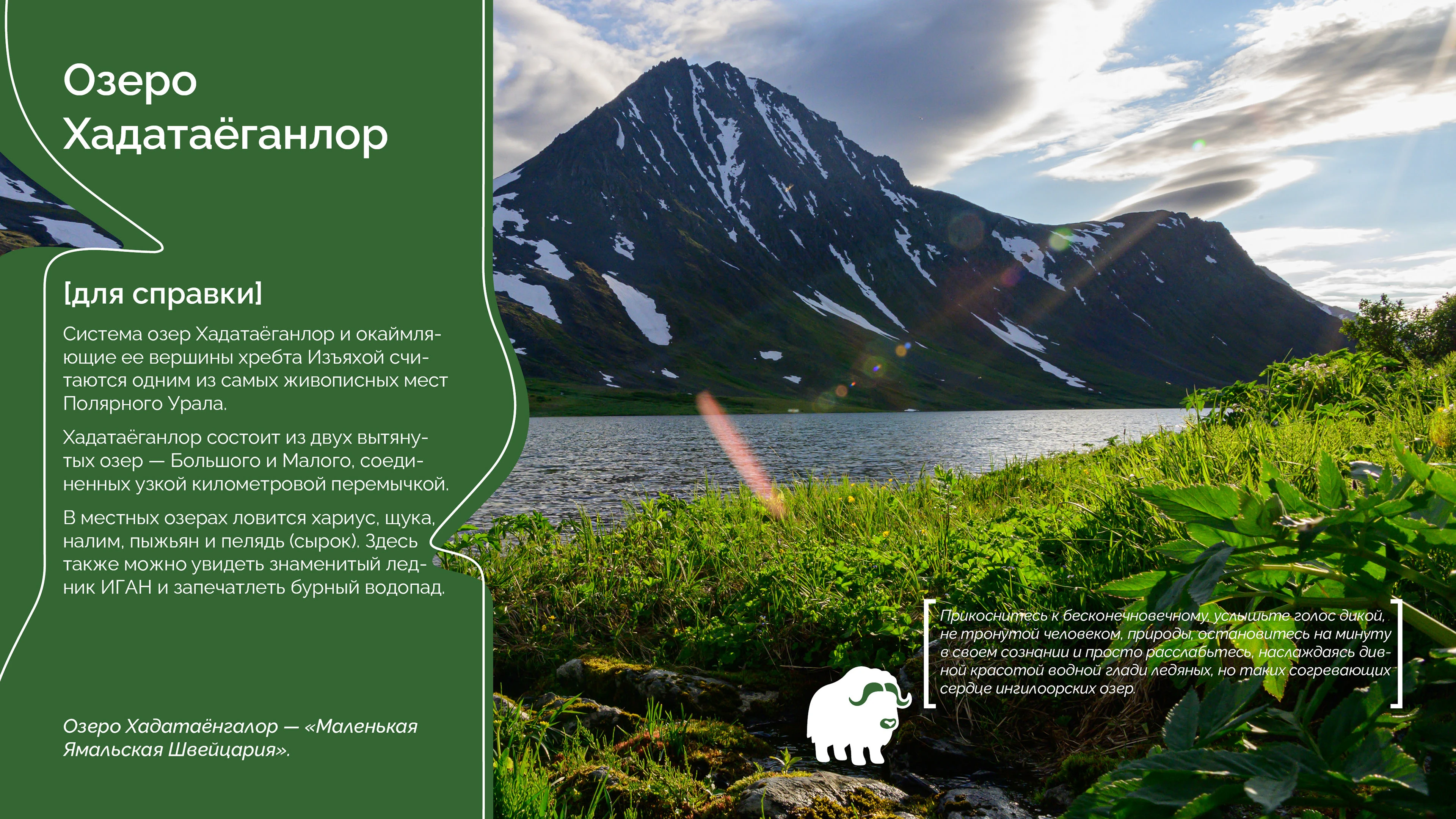 Презентация о природном парке "Ингилор" — Изображение №6 — Маркетинг на Dprofile