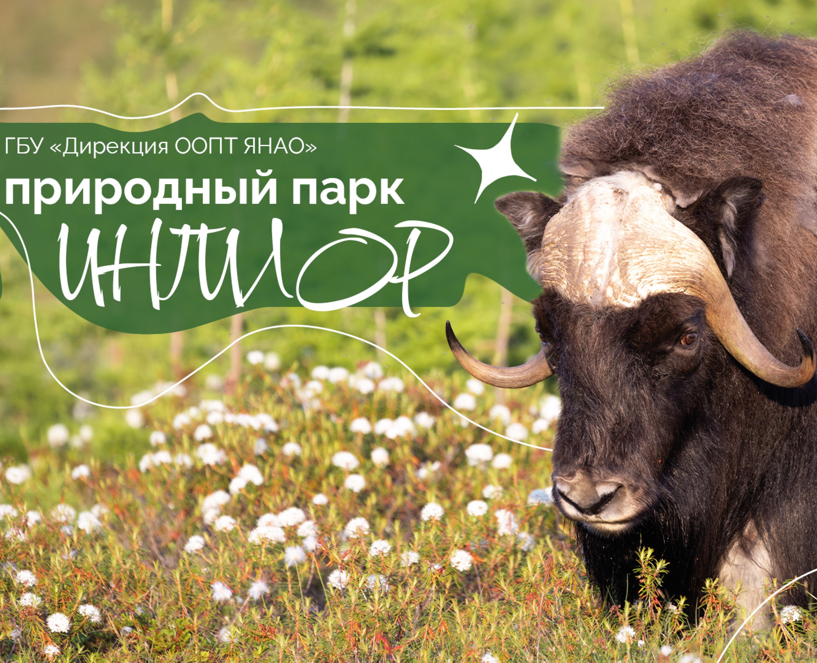 Презентация о природном парке "Ингилор" на Dprofile