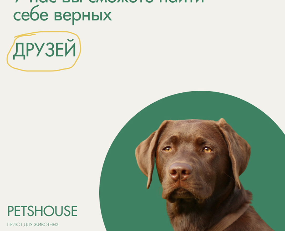 Баннеры для приюта для собак на Dprofile