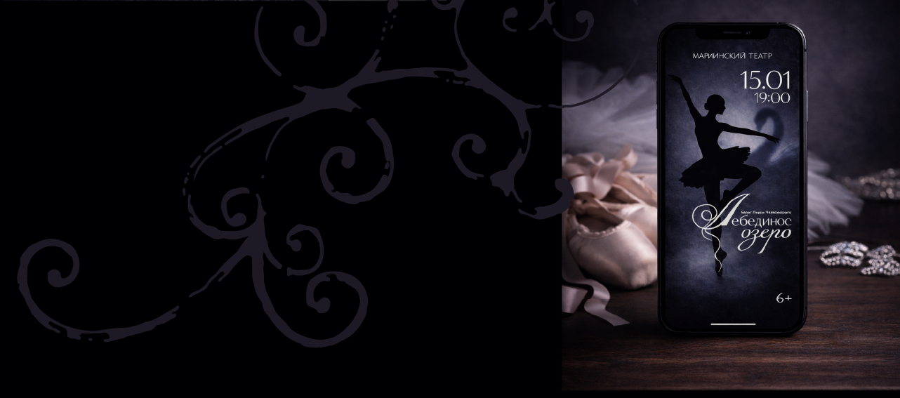 Лебединое озеро — Изображение №6 — Брендинг на Dprofile