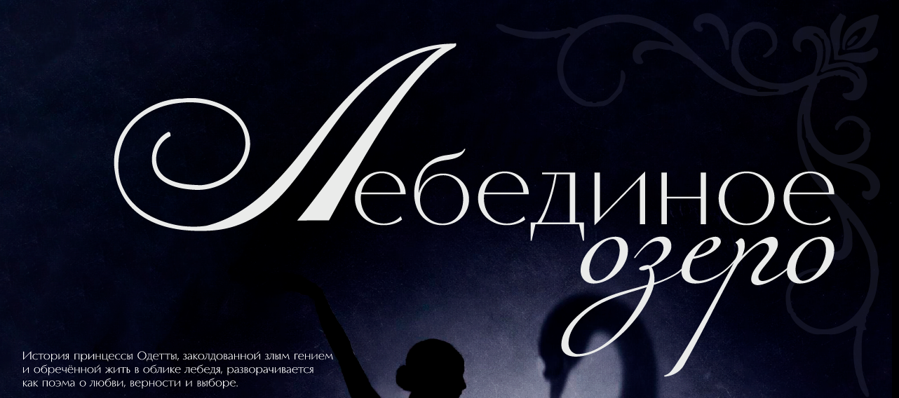 Лебединое озеро — Изображение №1 — Брендинг на Dprofile