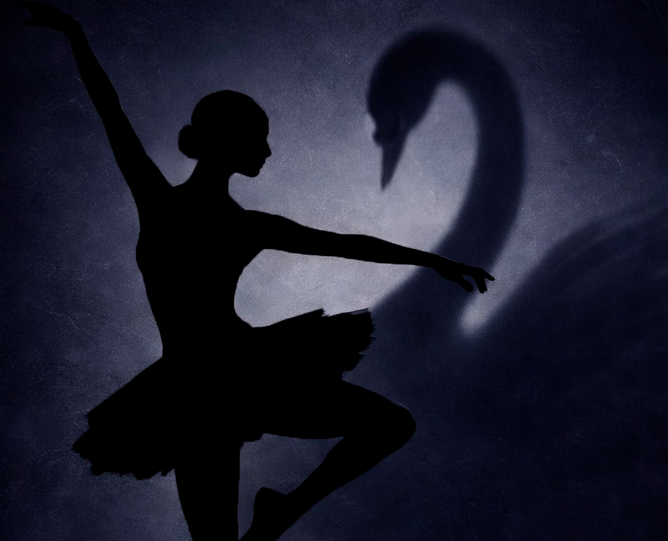 Лебединое озеро на Dprofile