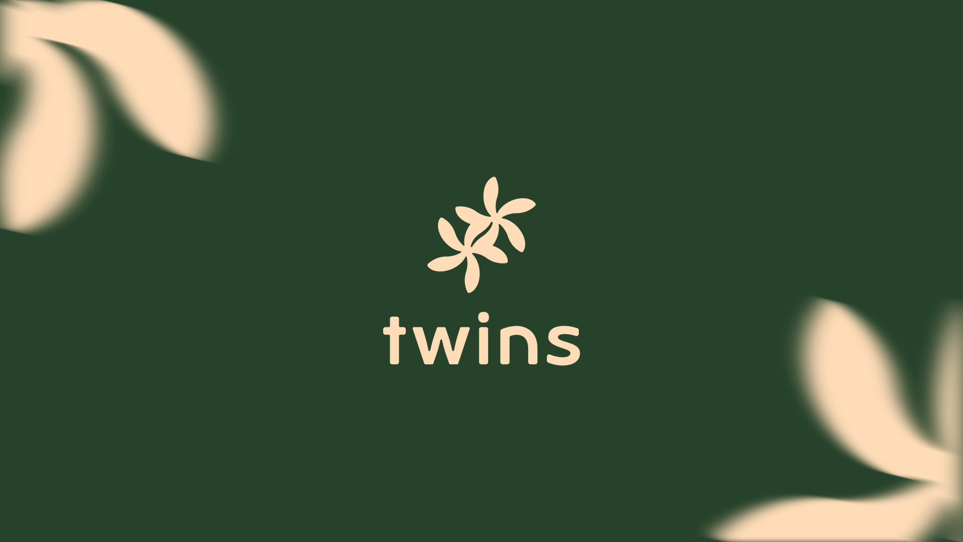 Twins Coffee — Изображение №1 — Брендинг на Dprofile