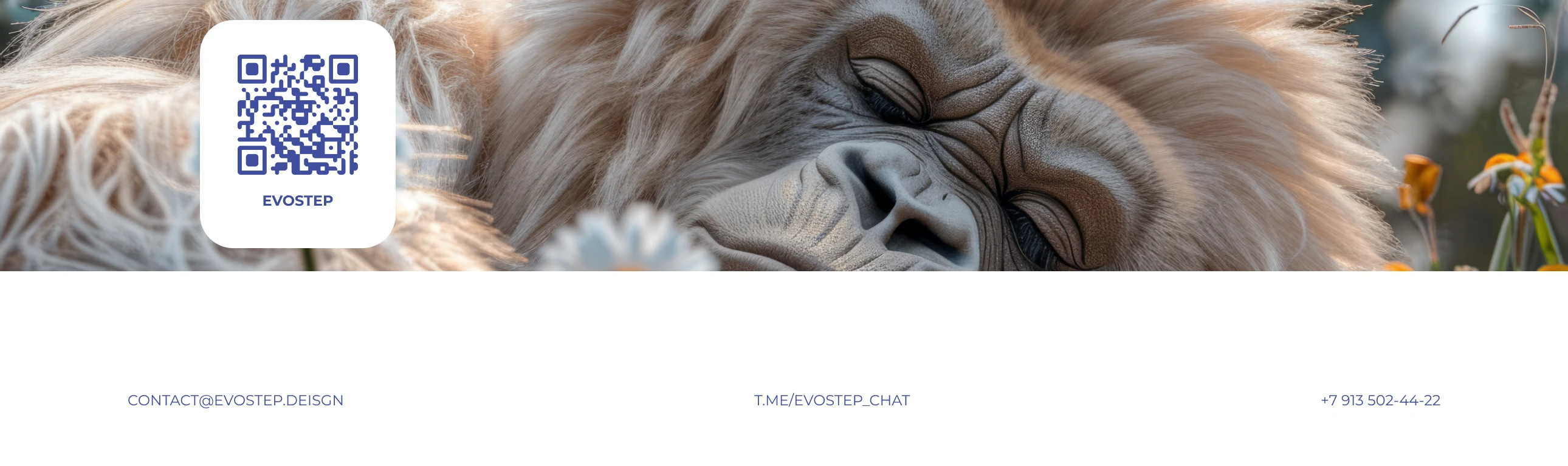 Обезьян — Изображение №13 — Промдизайн, Архитектура на Dprofile