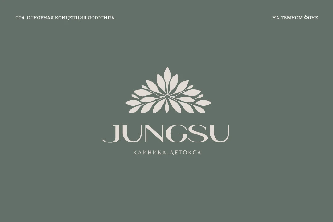 ЛОГОТИП для клиники косметологии // LOGO // JUNGSU — Изображение №3 — Брендинг, Графика на Dprofile