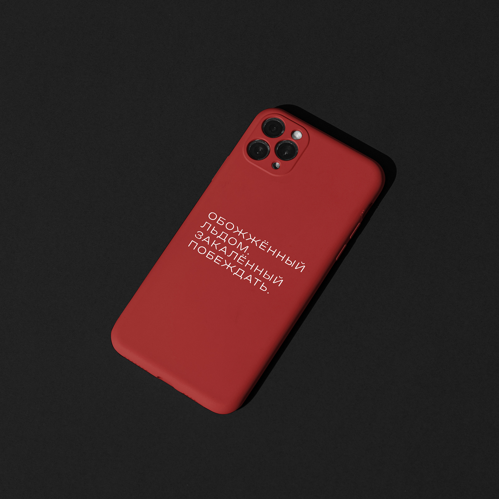 Брендинг для хоккейного клуба "МАЯК" — Изображение №17 — Брендинг на Dprofile