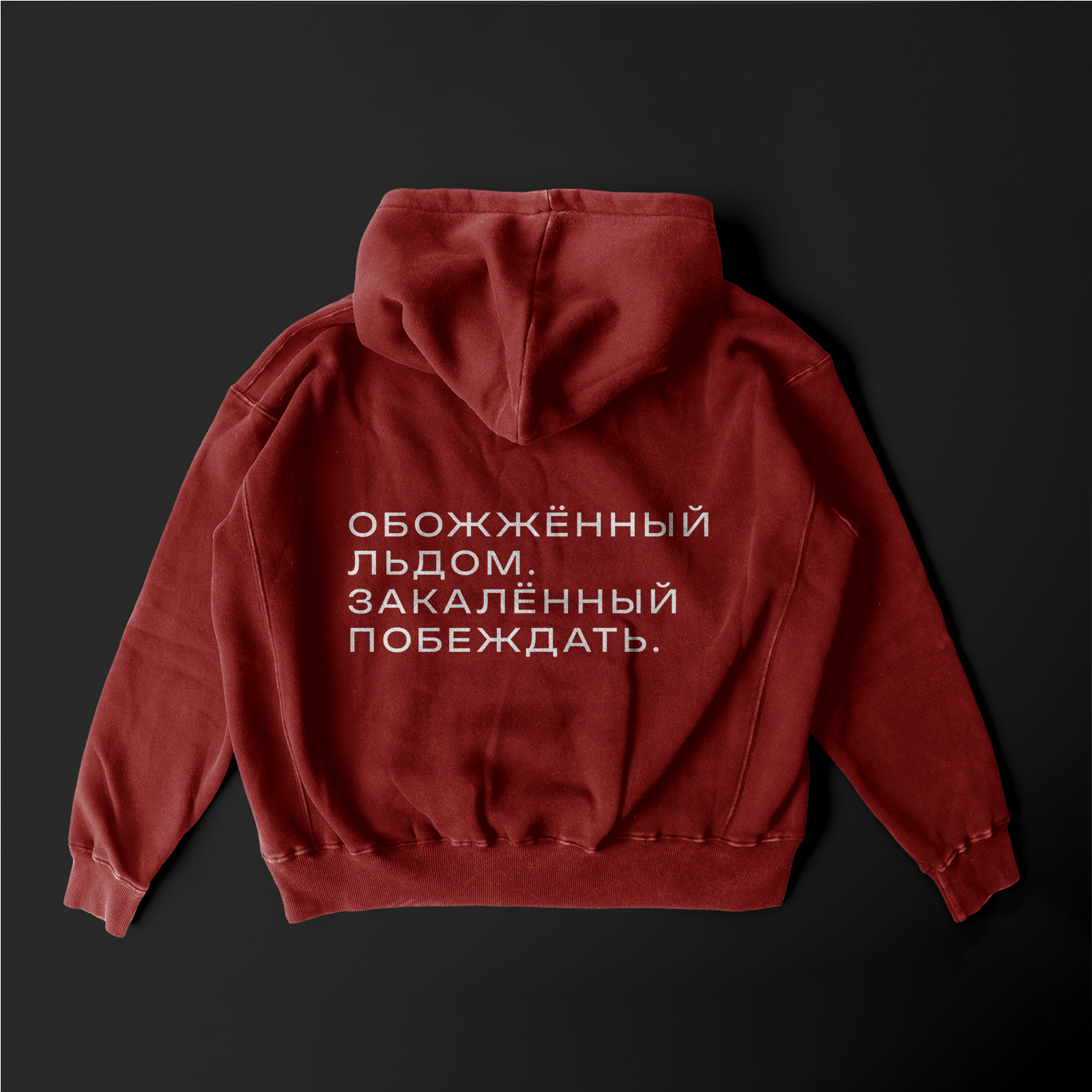 Брендинг для хоккейного клуба "МАЯК" — Изображение №11 — Брендинг на Dprofile