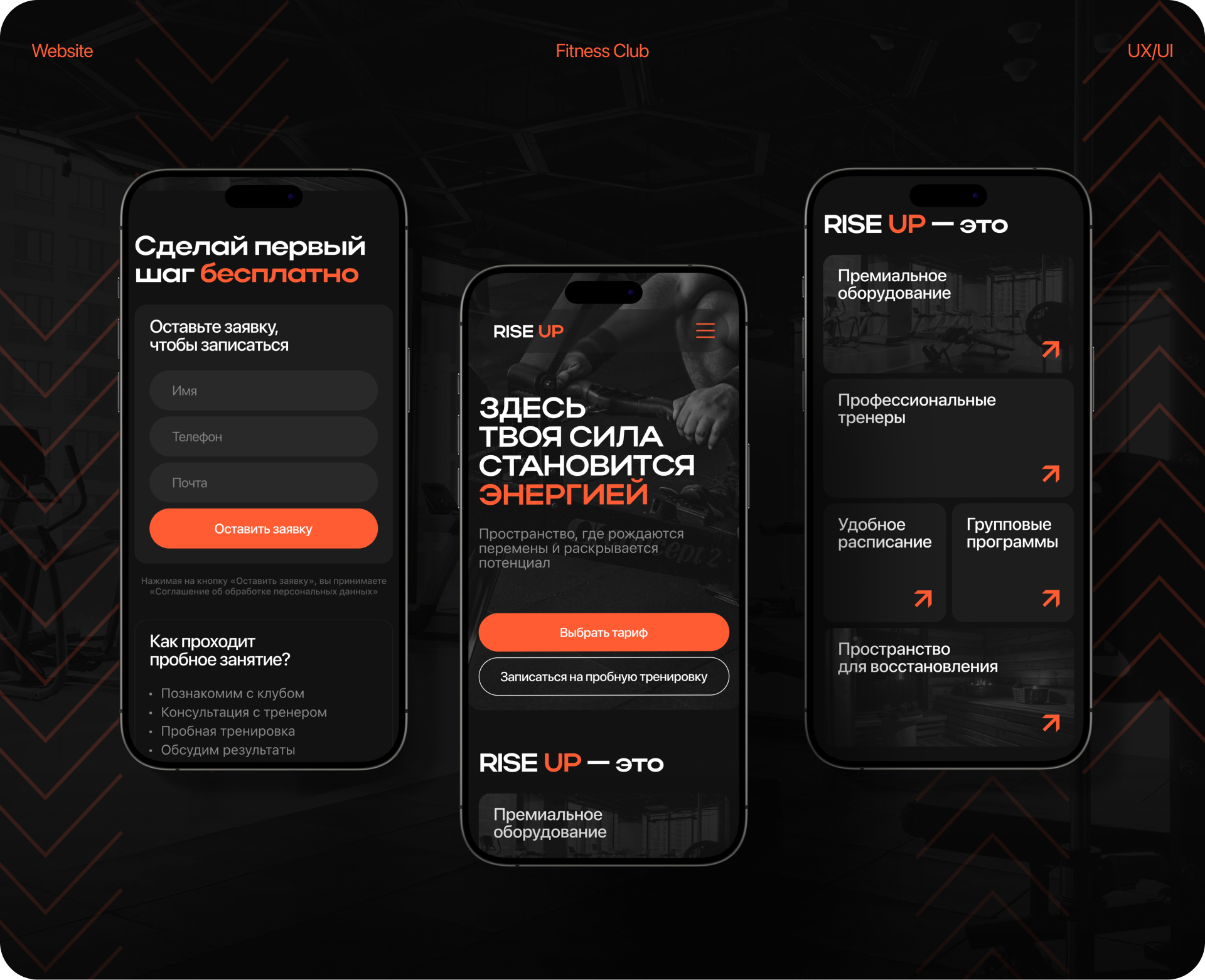 RISE UP — Fitness Club | Website — Изображение №1 — Интерфейсы на Dprofile