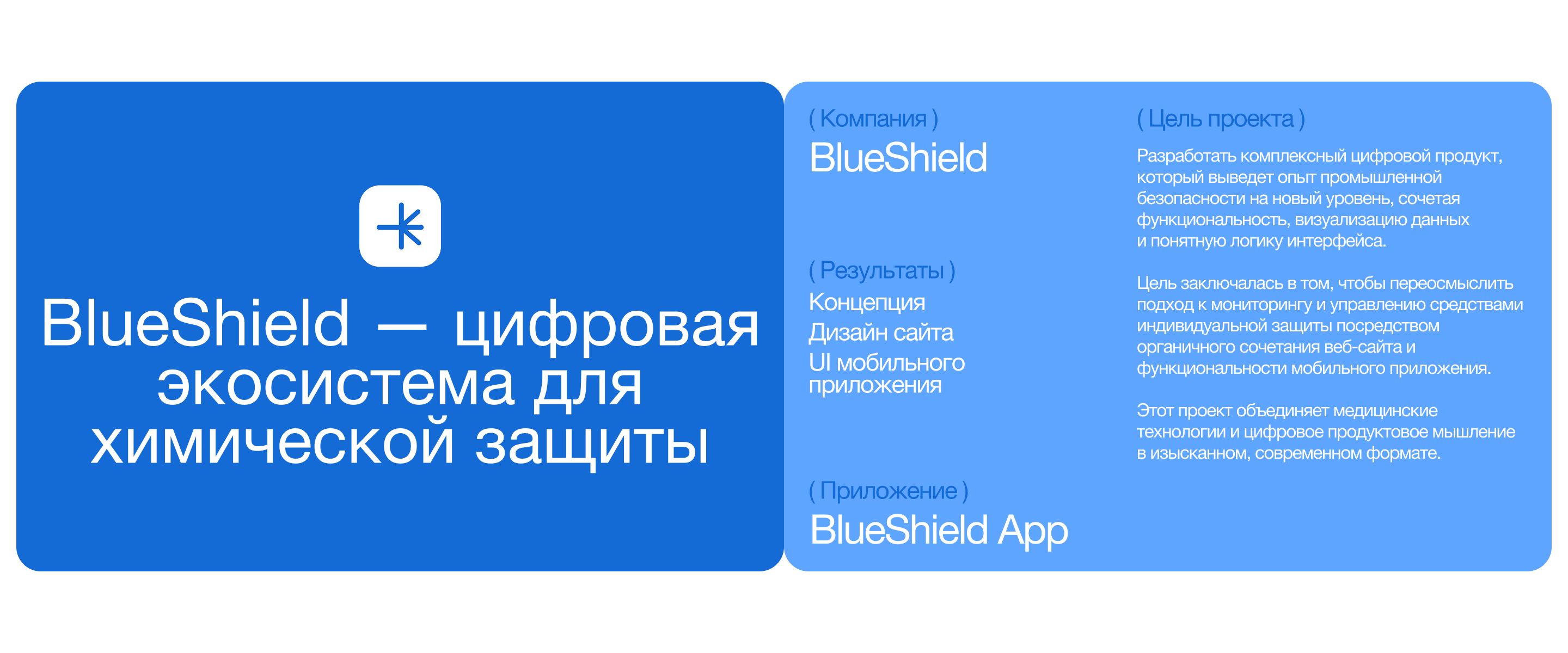 BlueShield — Изображение №1 — Интерфейсы, Анимация на Dprofile