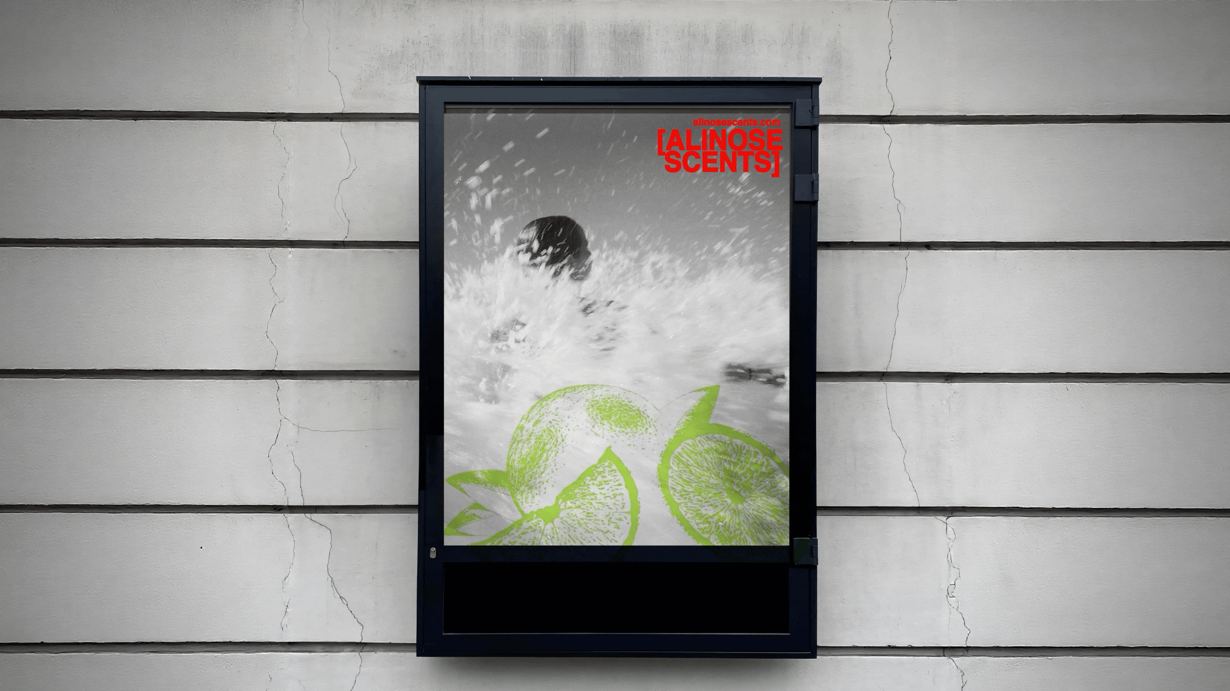 [ALINOSE SCENTS] — Изображение №20 — Брендинг на Dprofile