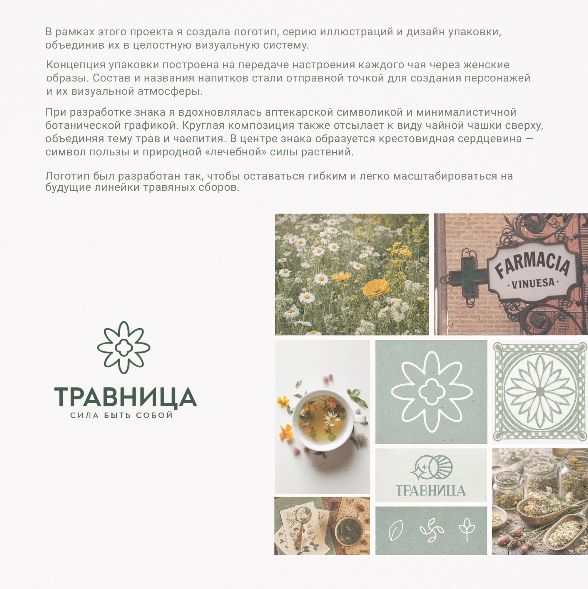 Дизайн упаковки чая ТРАВНИЦА — Изображение №2 — Брендинг, Иллюстрация на Dprofile