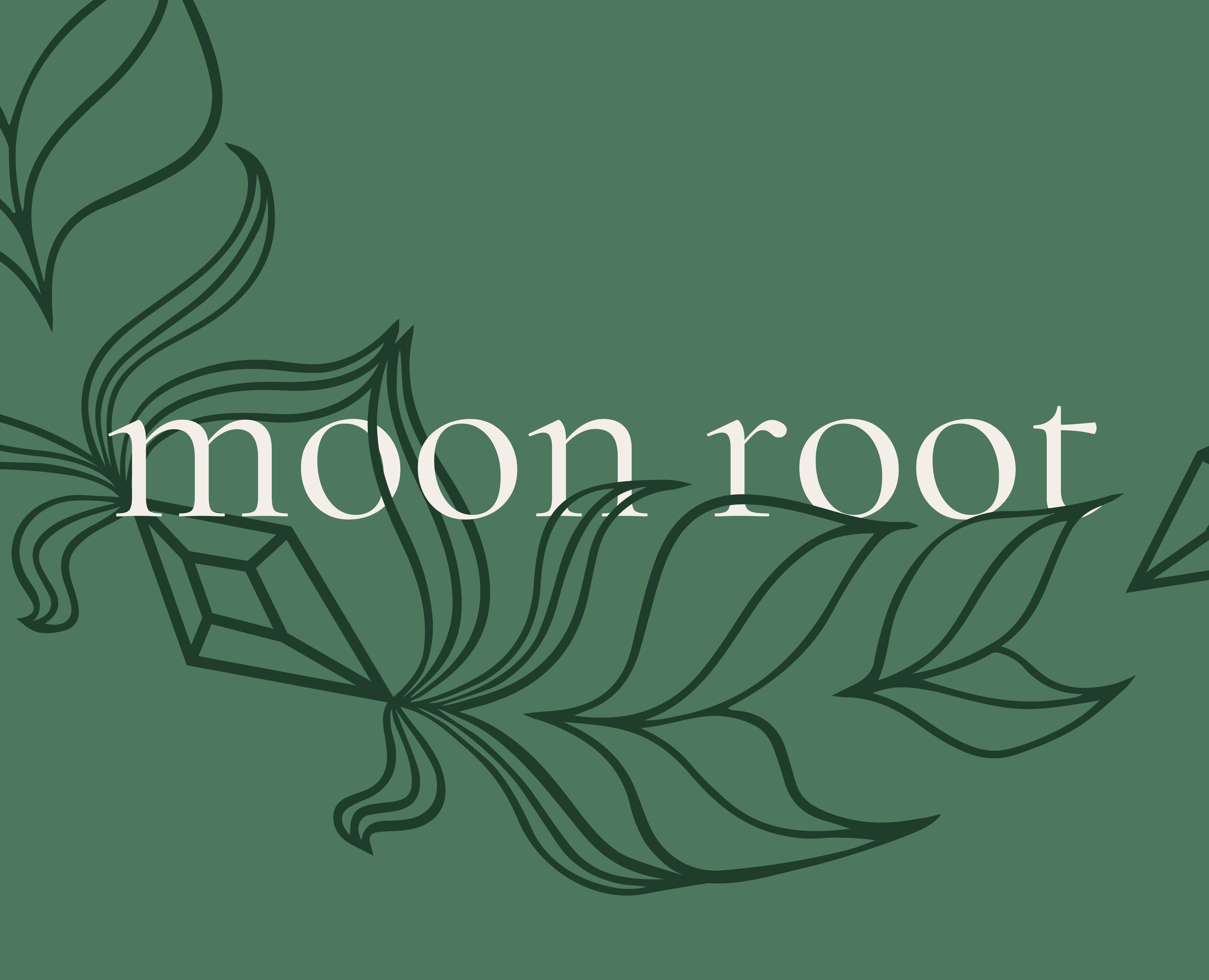 Айдентика бренда Moon Root — Брендинг на Dprofile