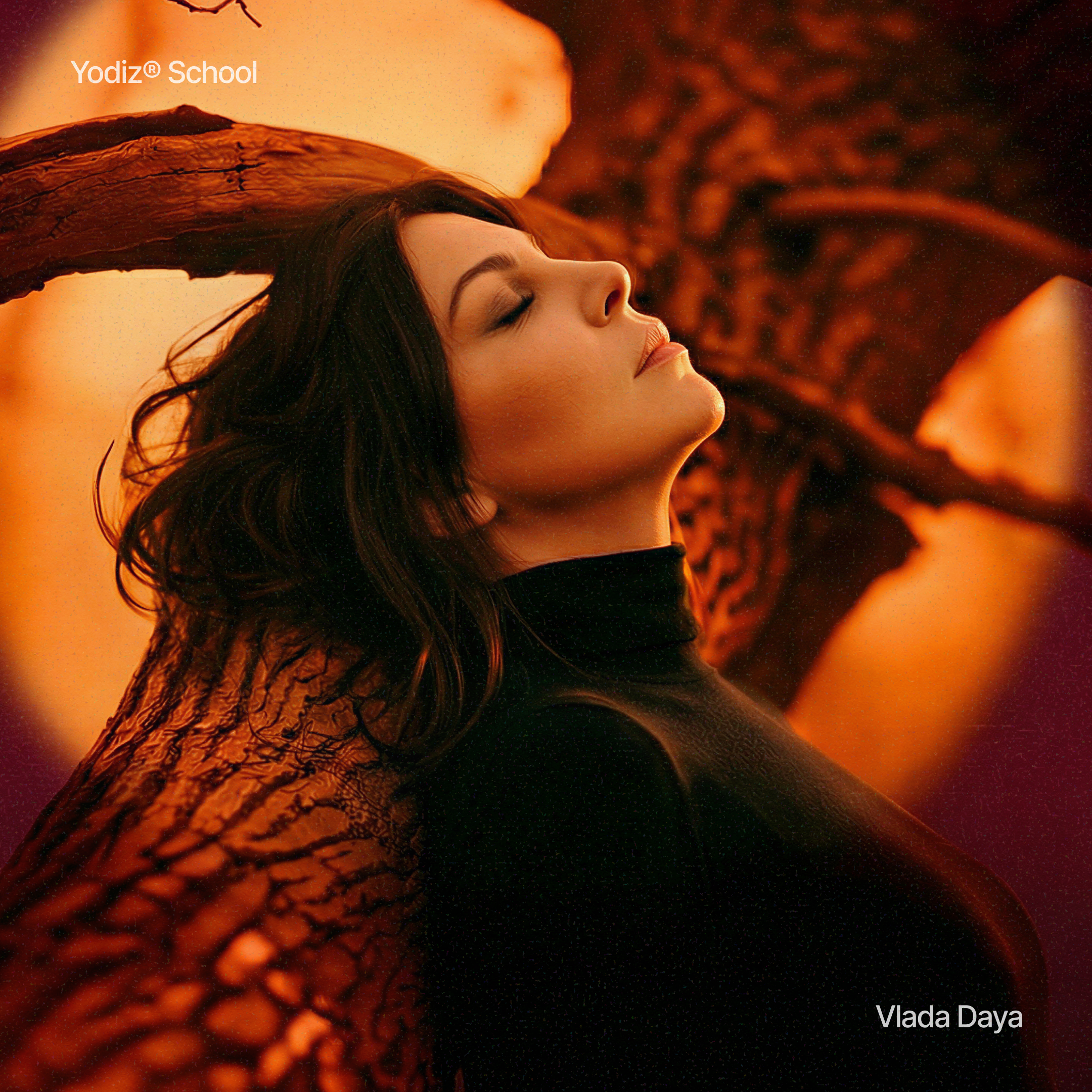 Yodiz® x Vlada Daya — Изображение №2 — Интерфейсы, Графика на Dprofile