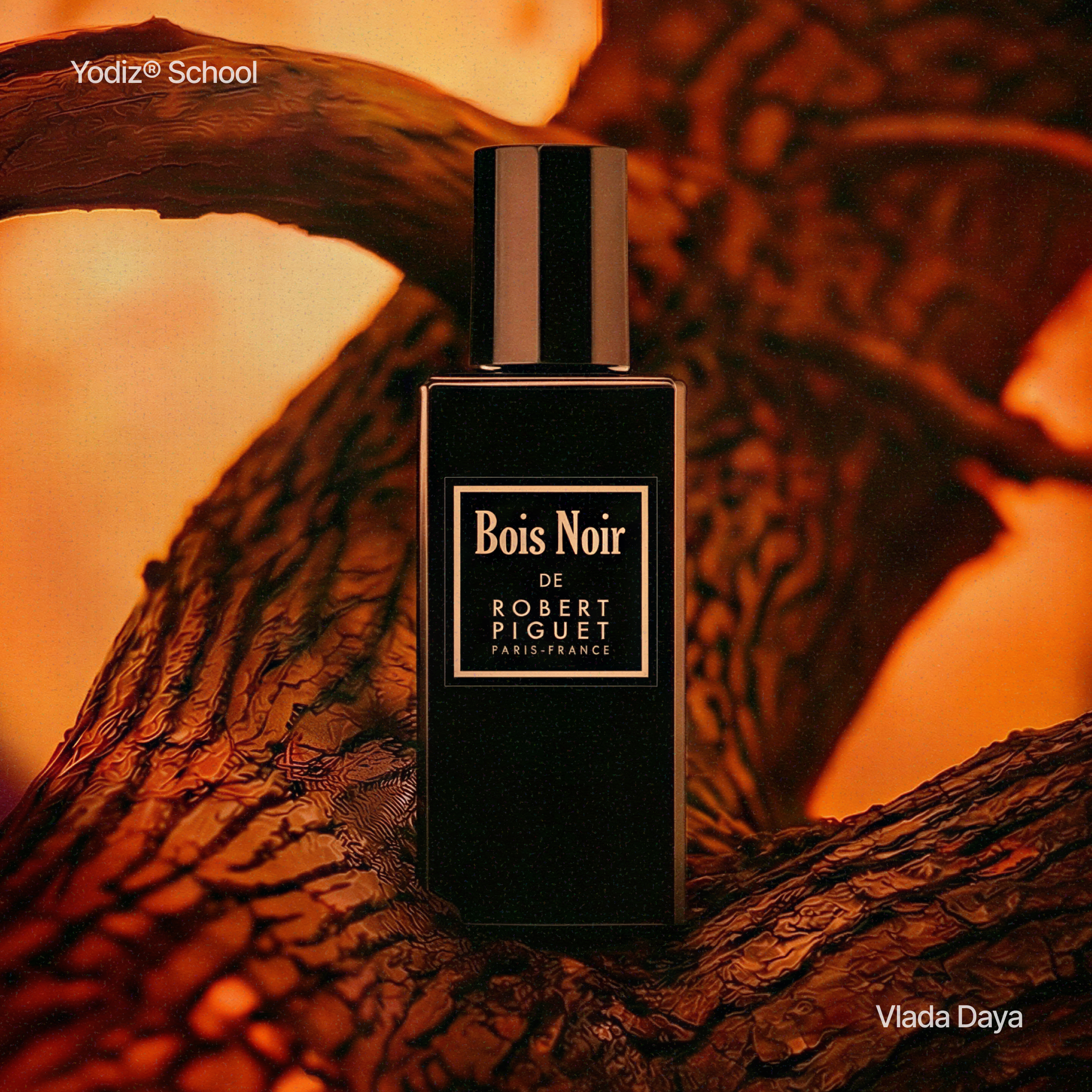 Yodiz® x Vlada Daya — Изображение №3 — Интерфейсы, Графика на Dprofile