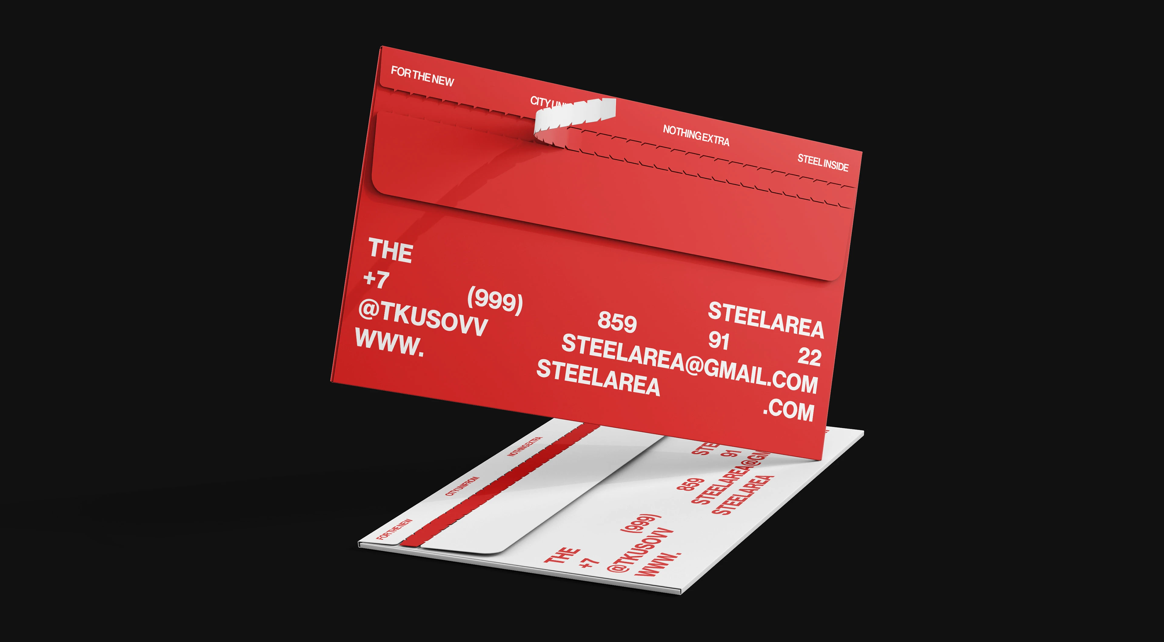 STEELAREA® | Clothing brand identity — Изображение №13 — Брендинг на Dprofile