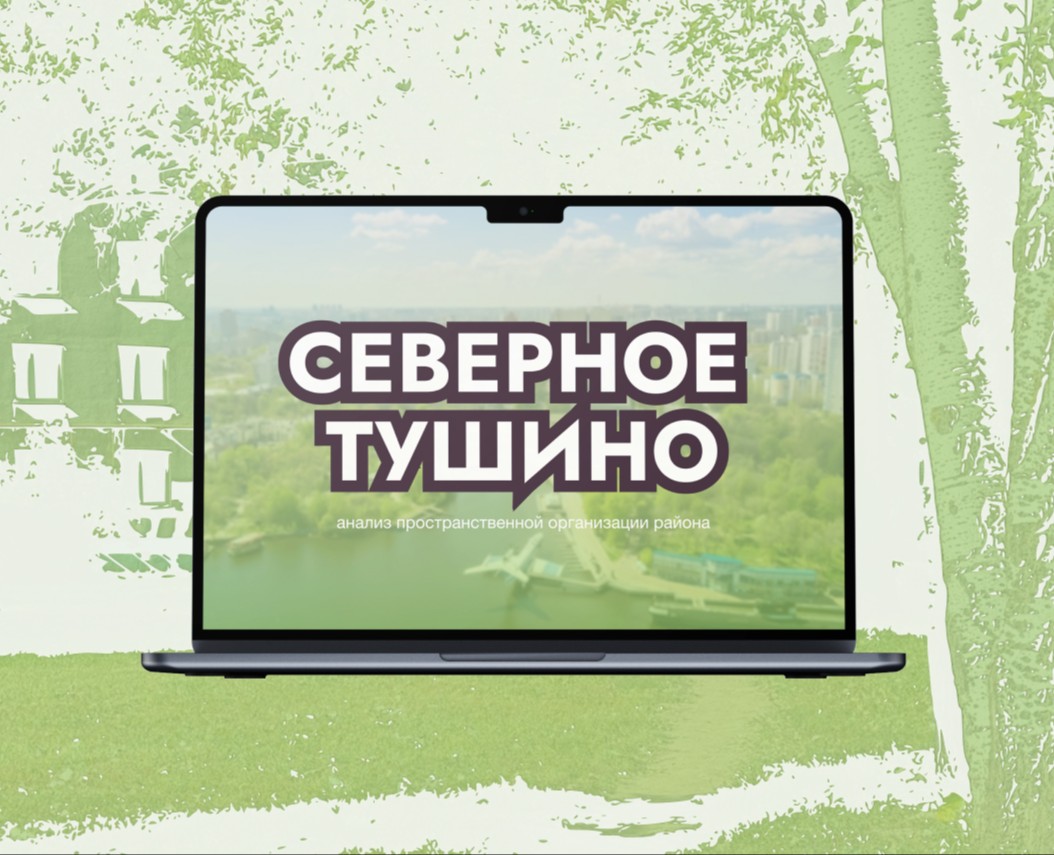 Презентация для пространственного анализа района на Dprofile