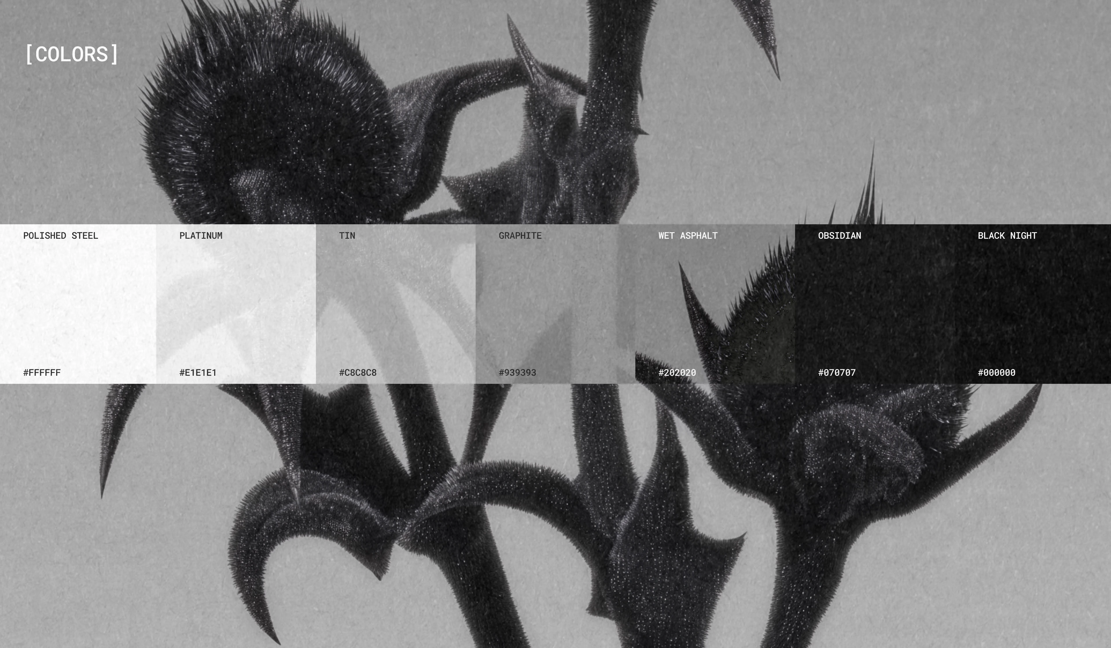 OUTRAGE / website for clothing store — Изображение №3 — Интерфейсы на Dprofile