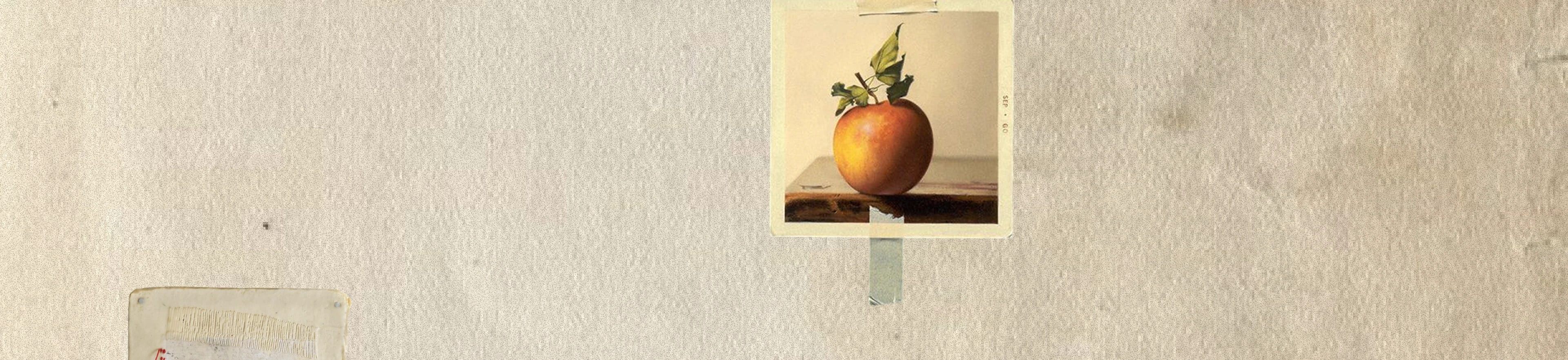 MIRA | Landing Page for Art Hub — Изображение №16 — Интерфейсы, Графика на Dprofile