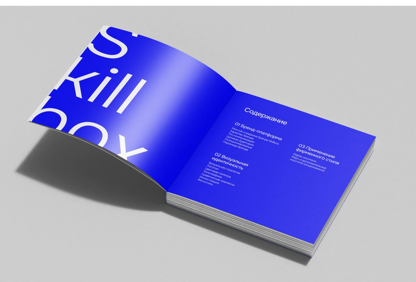 Брендбук для Skillbox — Изображение №3 — Брендинг, Графика на Dprofile