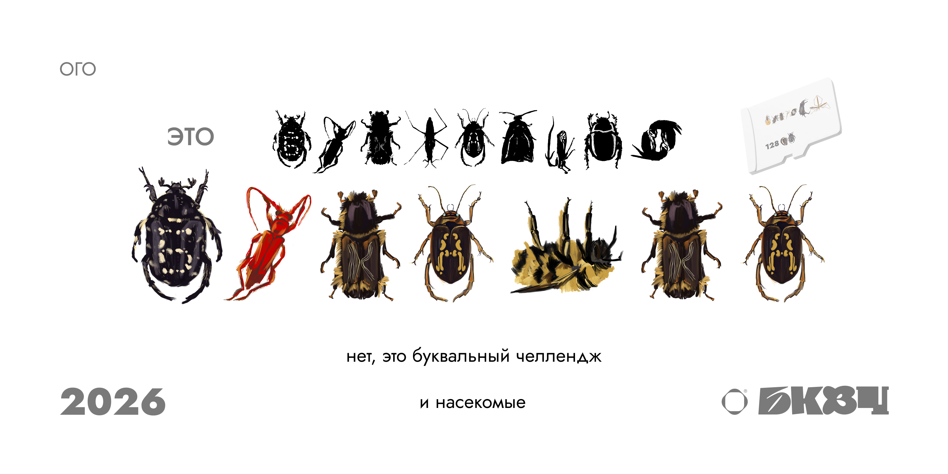 ЖУЧАРНЫЙ АЛФАВИТ — Изображение №1 — Иллюстрация, Графика на Dprofile