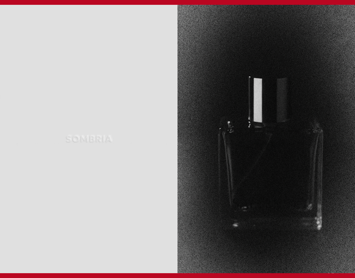 SALBMOND — Visual Identity — Изображение №11 — Брендинг на Dprofile