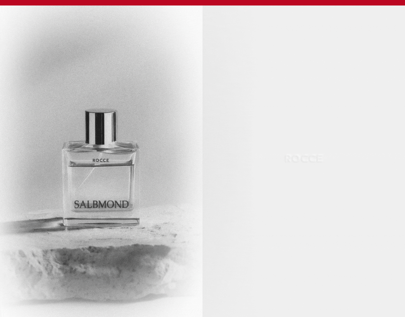 SALBMOND — Visual Identity — Изображение №12 — Брендинг на Dprofile