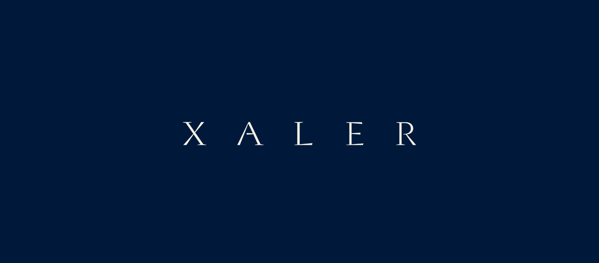 XALER Merch Concept — Изображение №1 — Брендинг на Dprofile