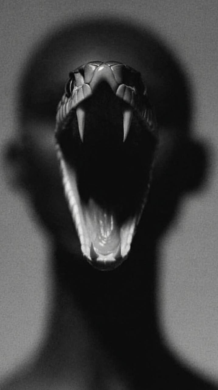 YULIAWAVE x visual bakery — Изображение №2 — 3D, Маркетинг на Dprofile