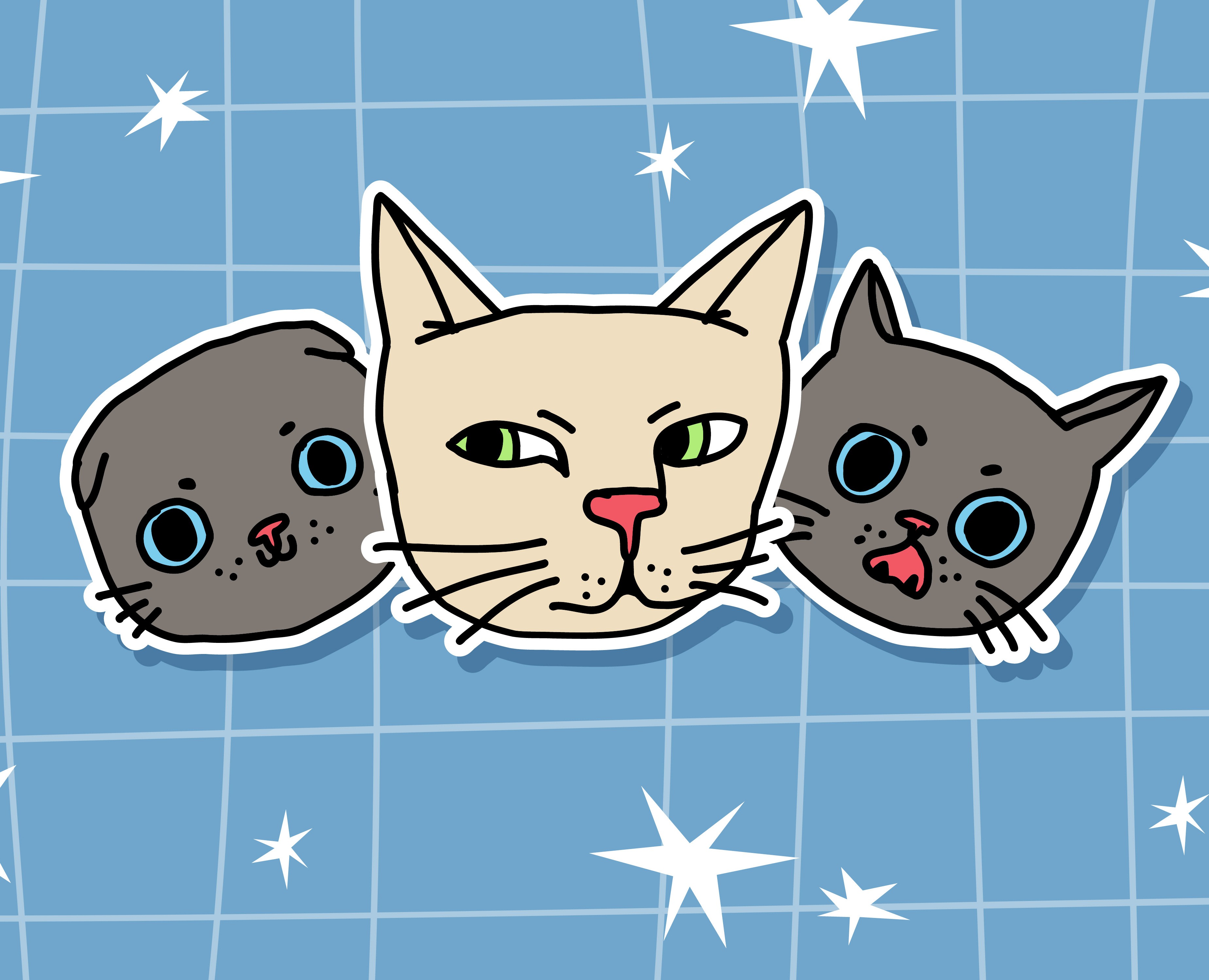 Мемные коты стикеры — Брендинг, Иллюстрация на Dprofile
