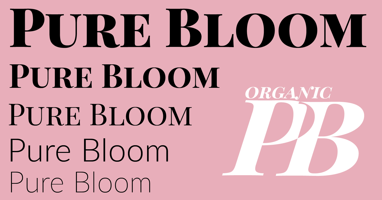 Beauty in Design: Pure Bloom — Изображение №6 — Брендинг, Графика на Dprofile