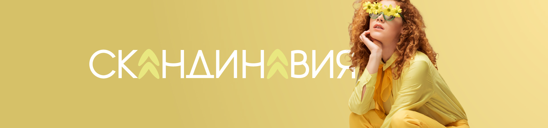 Разработка рекламной кампании ЖК «Скандинавия» — Изображение №3 — Брендинг, Маркетинг на Dprofile