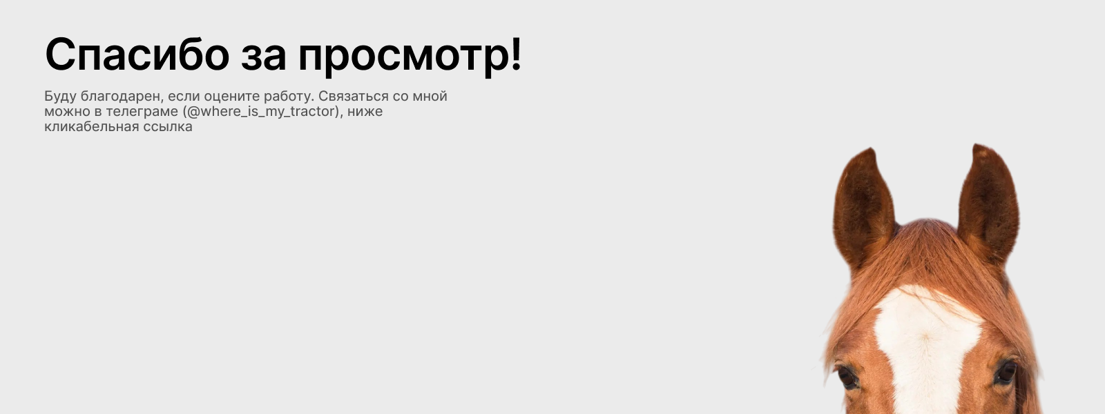 Сервис для записи на конные тренировки — Изображение №10 — Интерфейсы на Dprofile