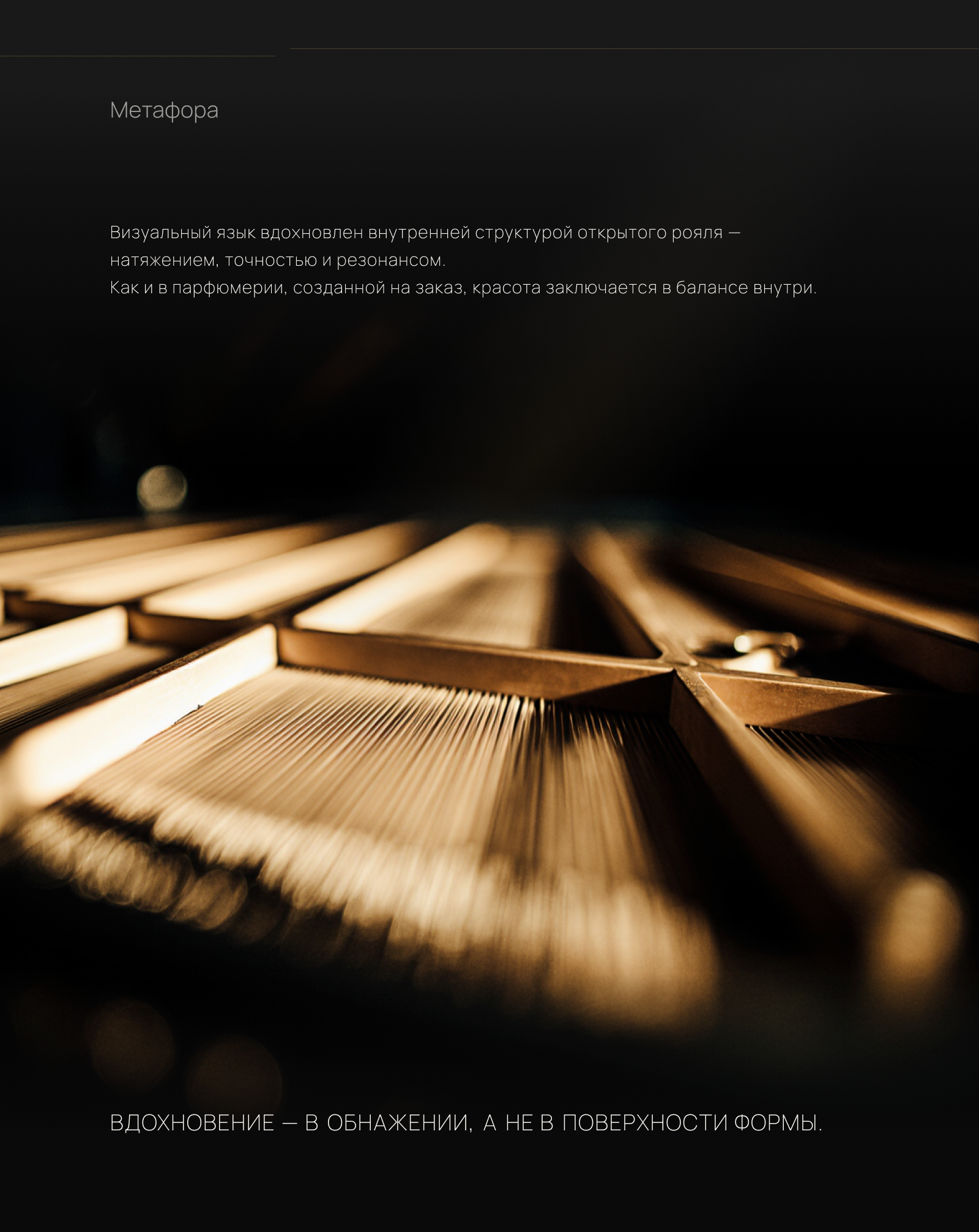 LUTHIER — Визуальная концепция бренда кастомной парфюмерии — Изображение №4 — Брендинг, Графика на Dprofile